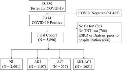Outcomes of Hospitalized Patients With COVID-19 With Acute Kidney Injury and Acute Cardiac Injury